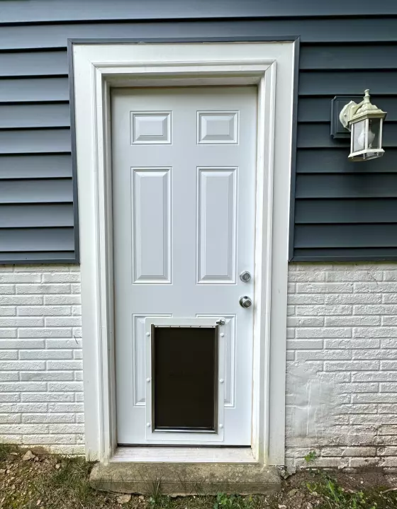 Pet Door Installation project photo.