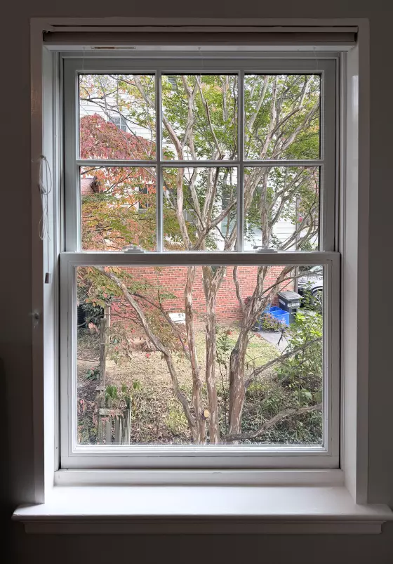 Fogged Glass Replacement project photo.