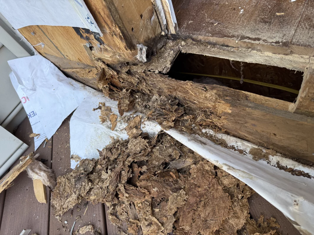 Patio Door Replacement gallery photo.