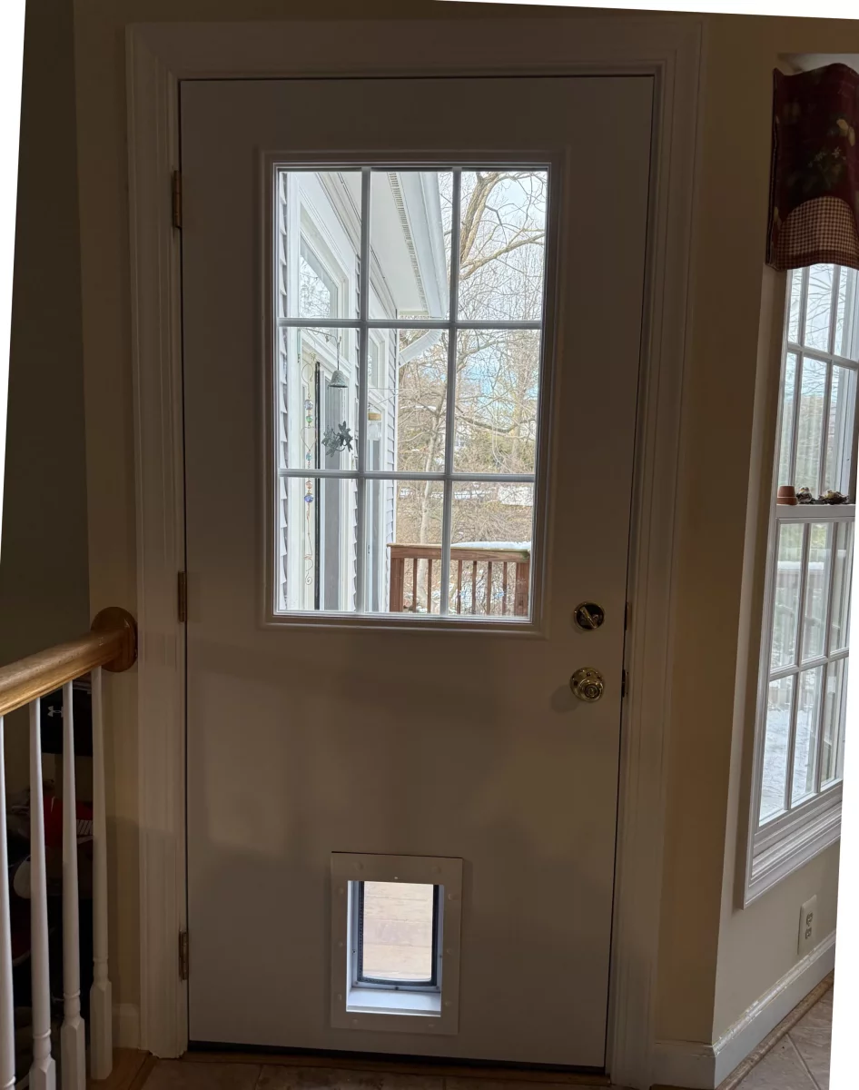 White door with glass panels and installed pet door