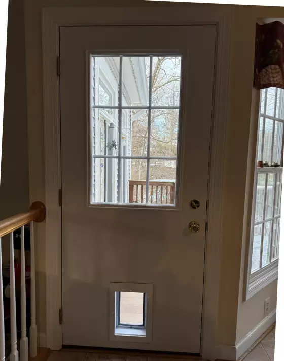 White door with glass panels and installed pet door
