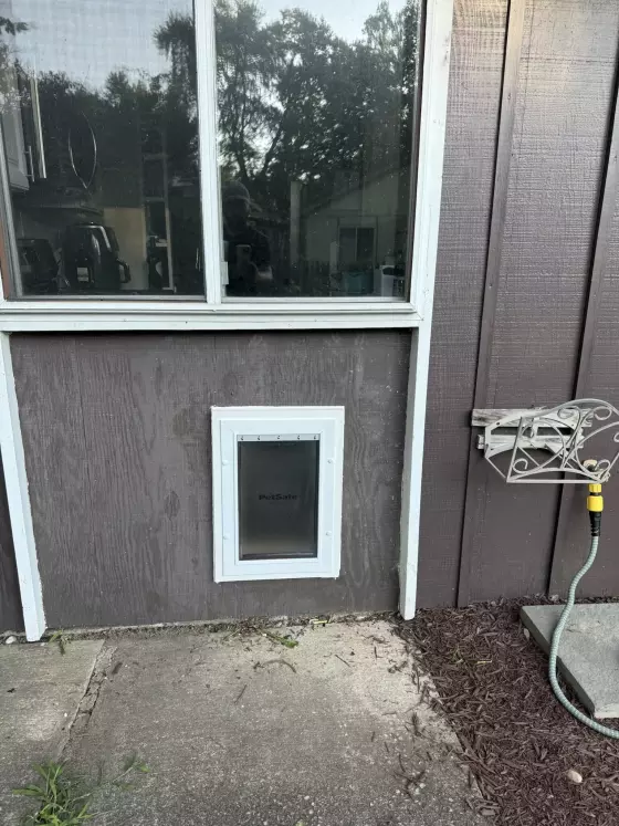 PetSafe pet door installed through exterior wall