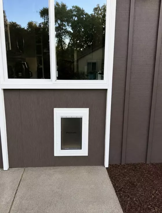 Finished custom-sized pet door with white exterior trim