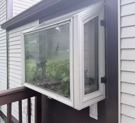 Exterior bay window with plants inside on residential siding