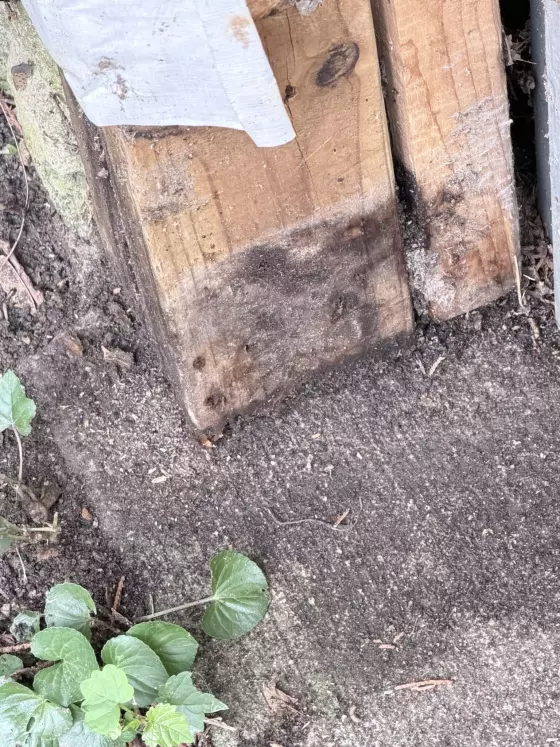 rotted wood post base next to concrete and soil