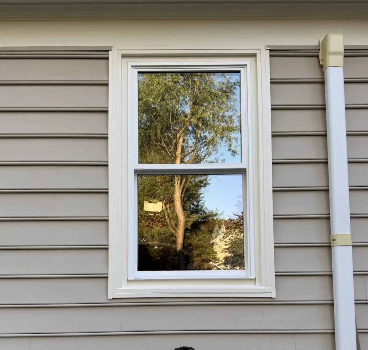 Exterior view of a double-hung window with siding and a ladder