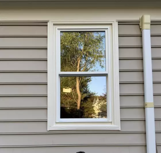 Exterior view of a double-hung window with siding and a ladder