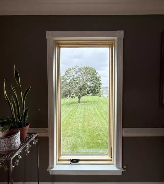 New Marvin Elevate picture window after full-frame replacement with natural wood interior and finished white trim.
