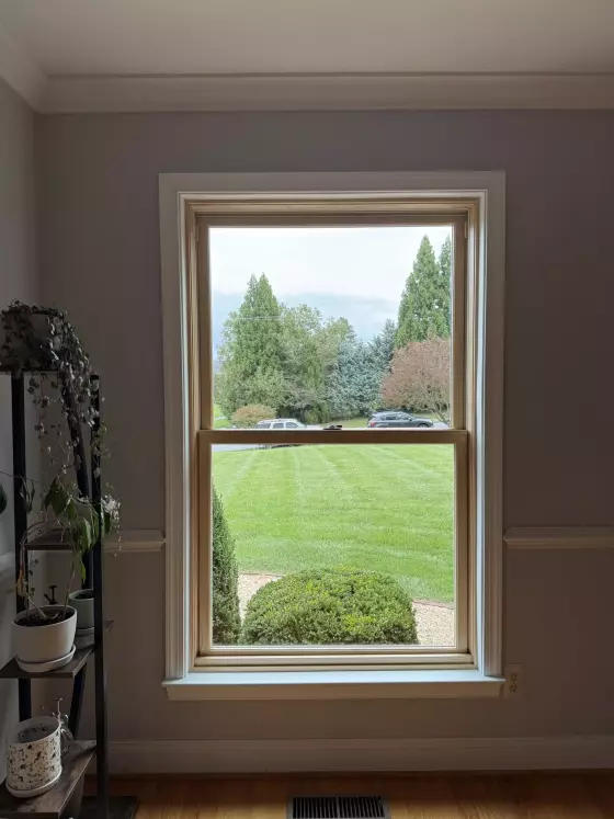 Interior view of a double-hung window with white trim