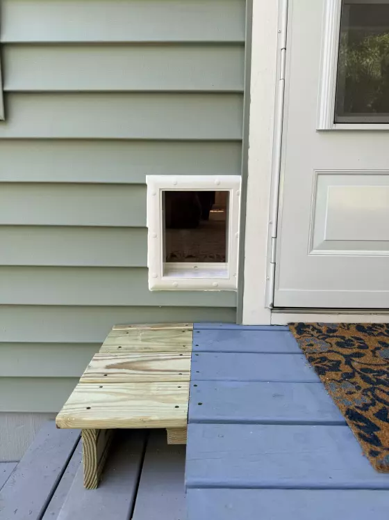 Exterior view of a pet door installed in house siding next to a deck step.